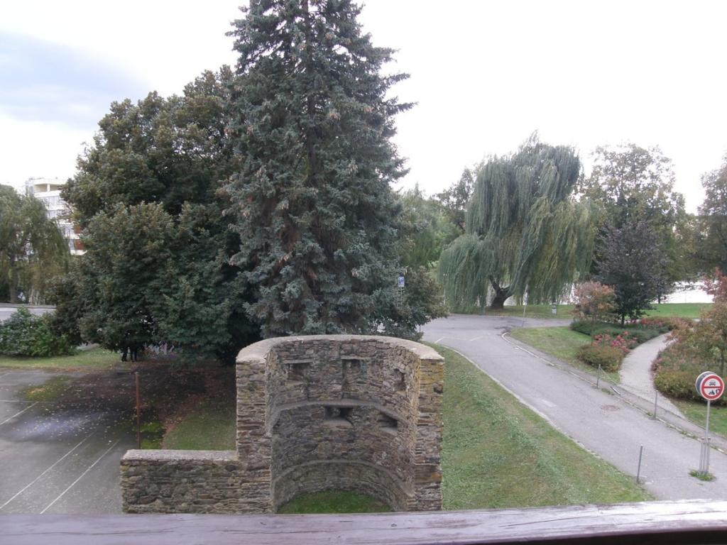 Pronájem bytu 3+1 76 m2, Havlíčkův Brod – náhled fotky 9