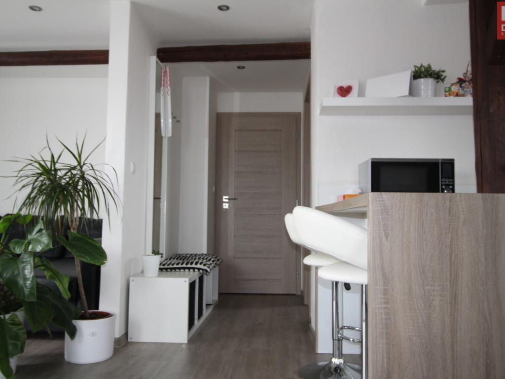 Pronájem bytu 1+kk 45 m2