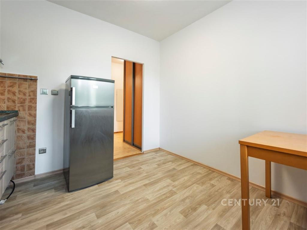 Pronájem bytu 1+1 42 m2