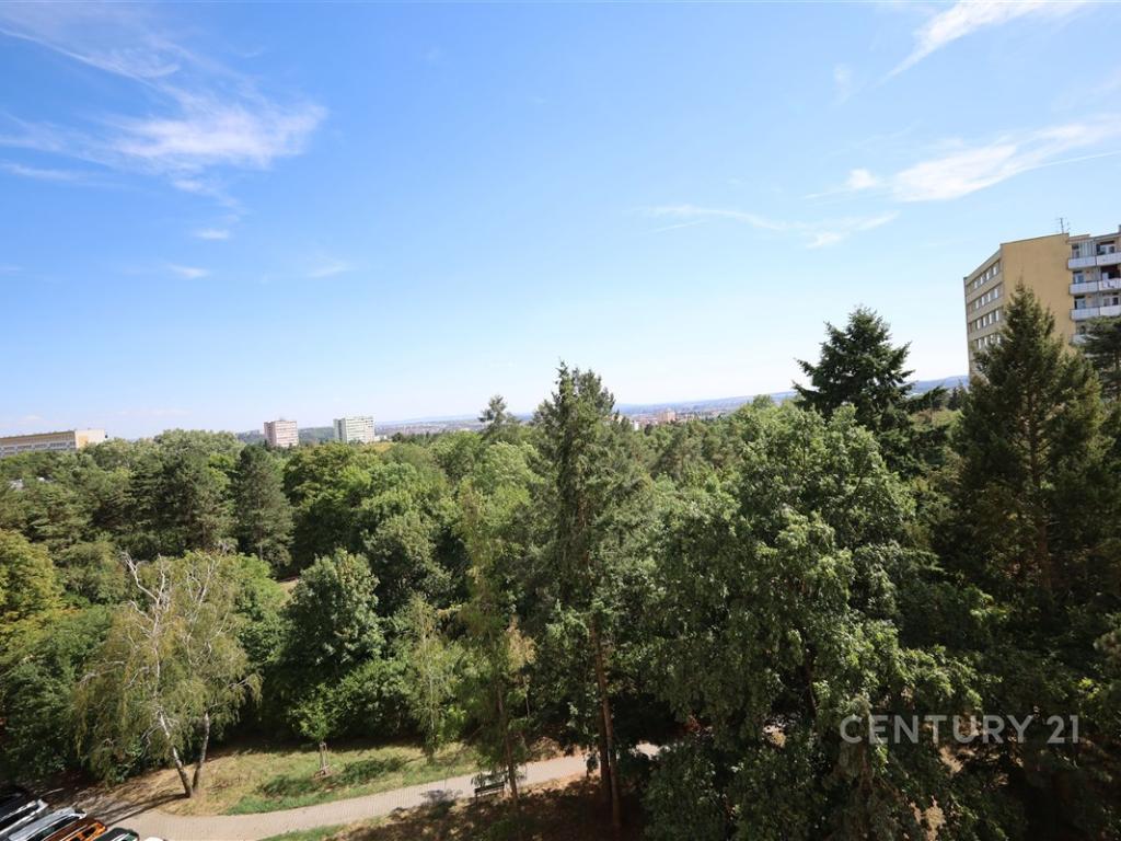 Pronájem bytu 3+1 74 m2