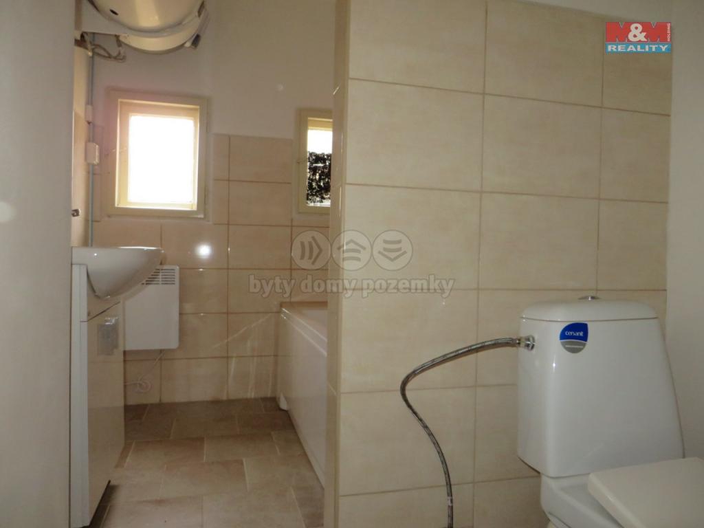 Pronajem bytu dům 213 m2