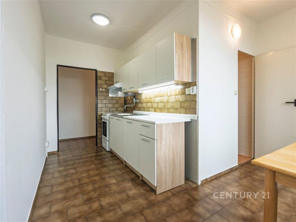 Pronájem bytu 2+1 55 m2