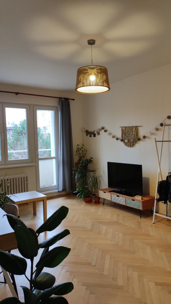 Pronajem bytu celý pokoj 20 m2