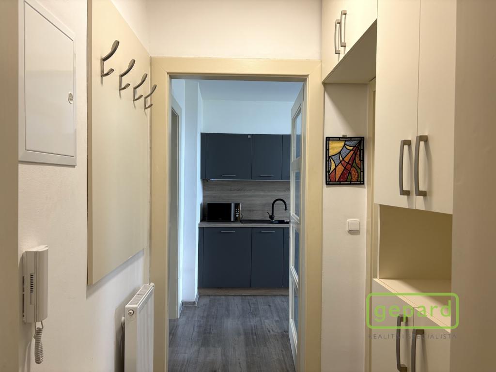 Pronájem bytu 2+1 60 m² - Widok 6