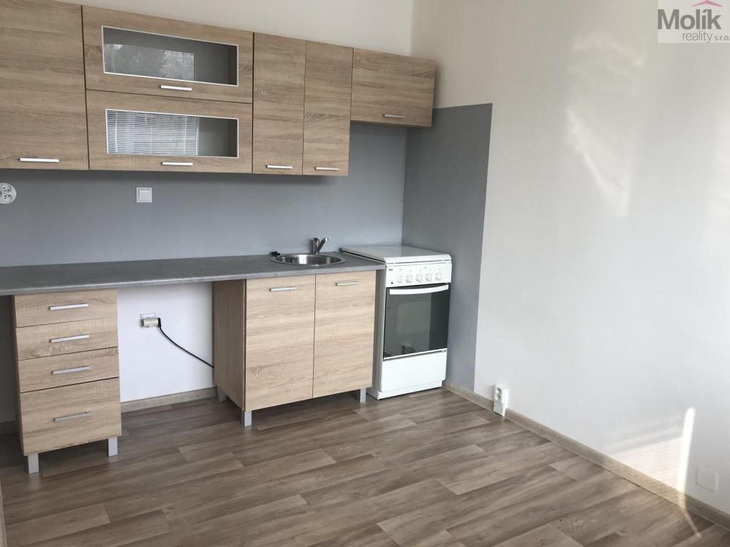 Pronájem bytu 3+1 55 m2