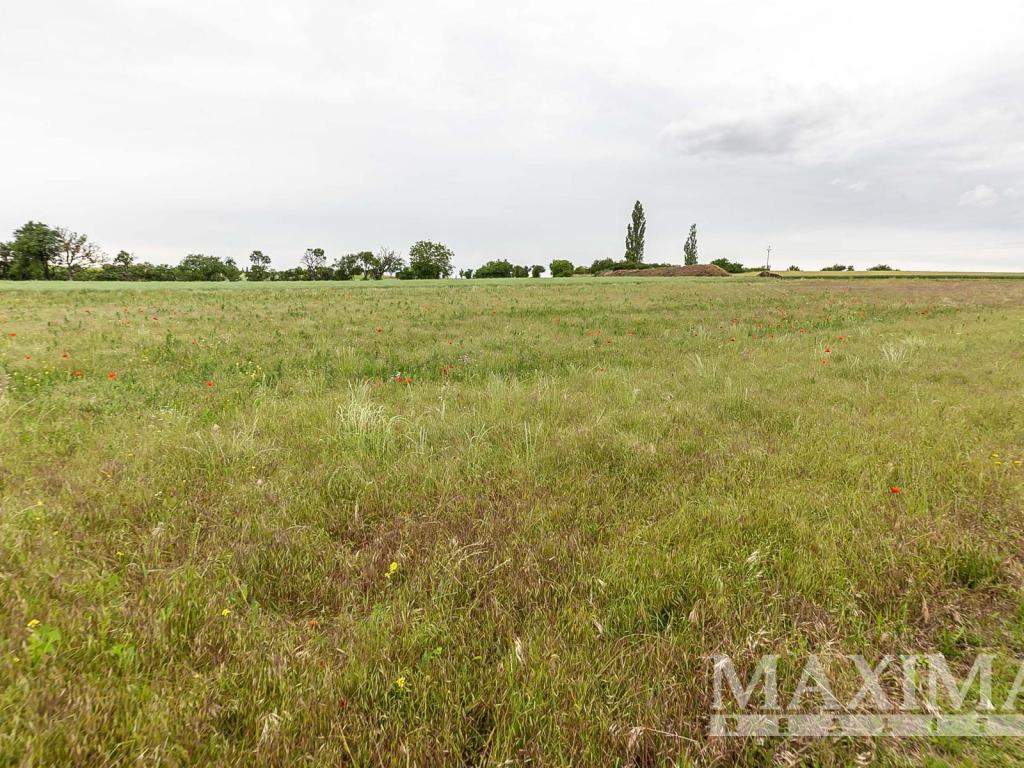 Prodej pozemku 1208 m2, Číčovice – náhled fotky 20