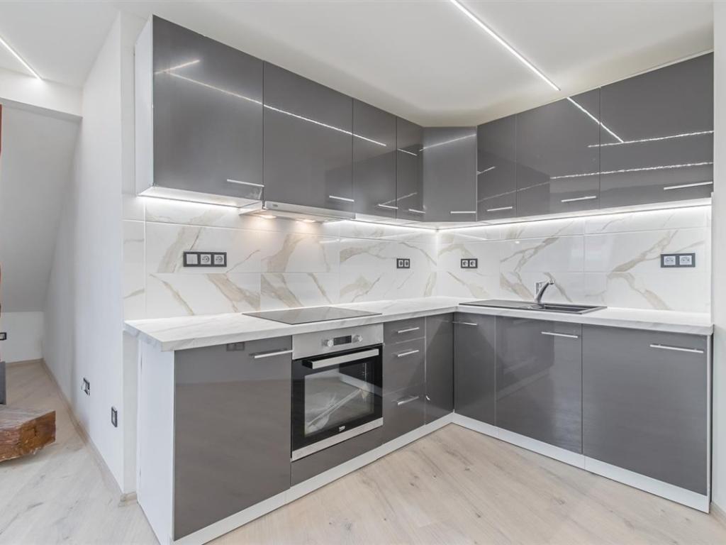 Pronájem bytu 1+kk 48 m2