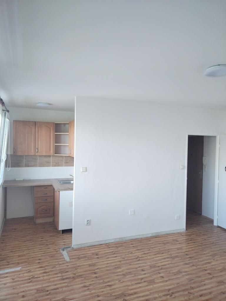 Pronájem bytu 1+kk 38 m2