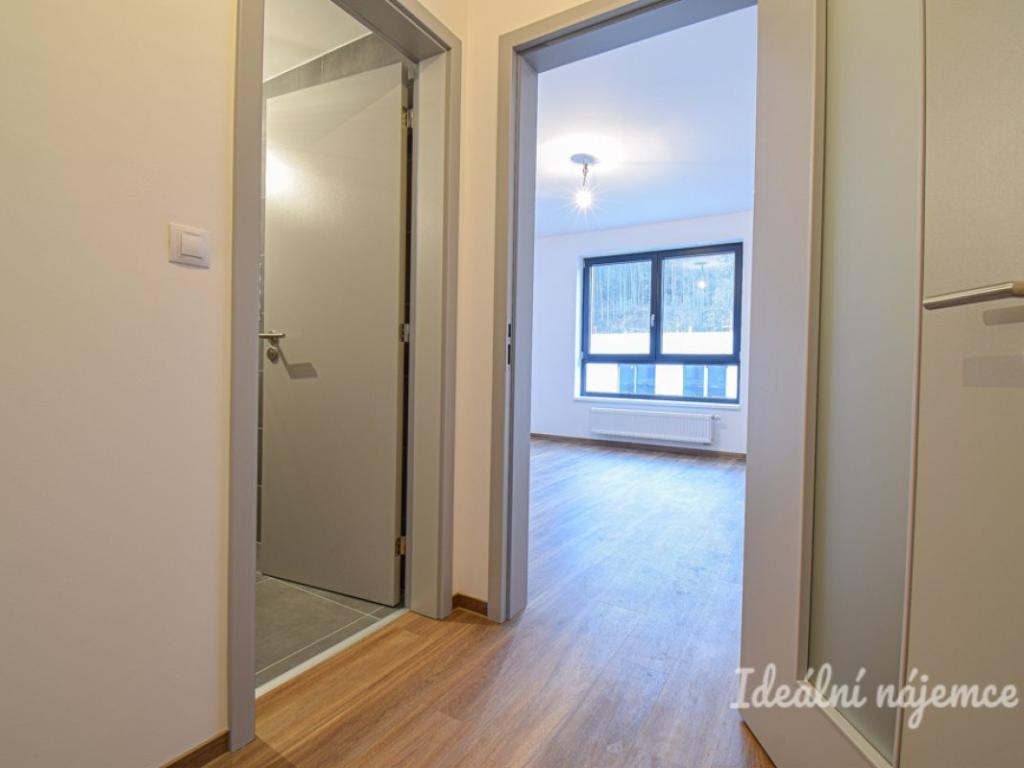 Pronájem bytu 1+kk 29 m2