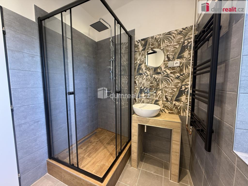 Pronájem bytu 1+1 38 m2