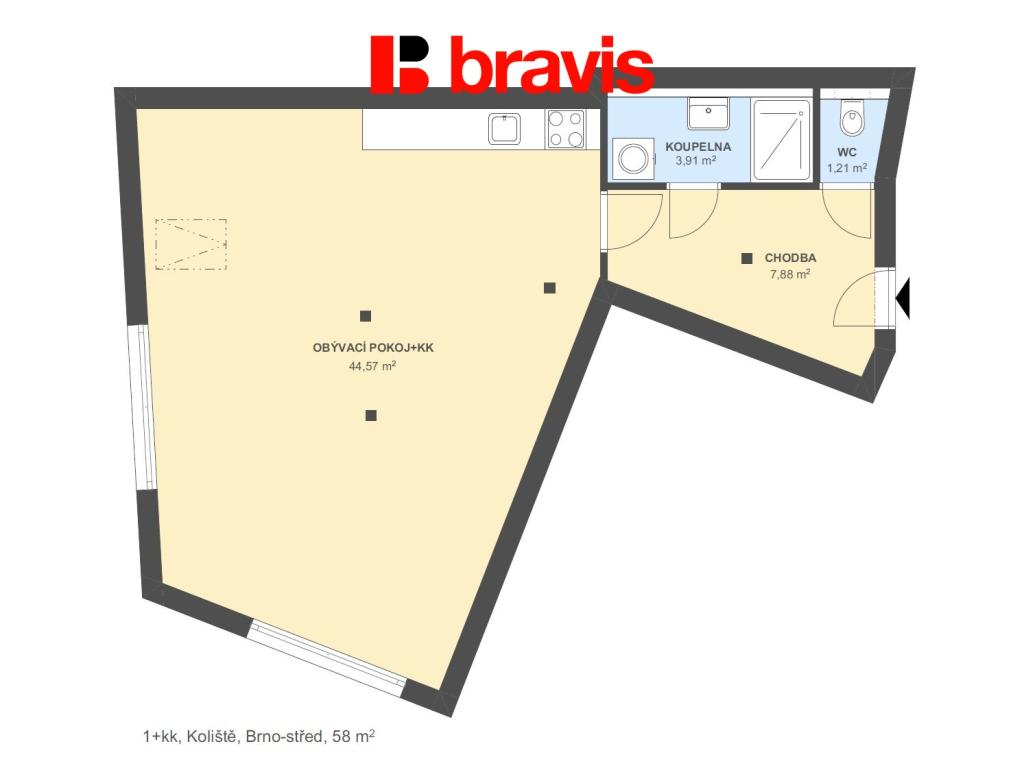 Pronájem bytu 1+kk 58 m2