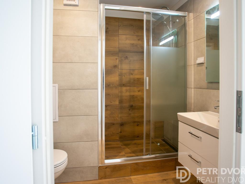 Pronájem bytu 2+kk 45 m² – další