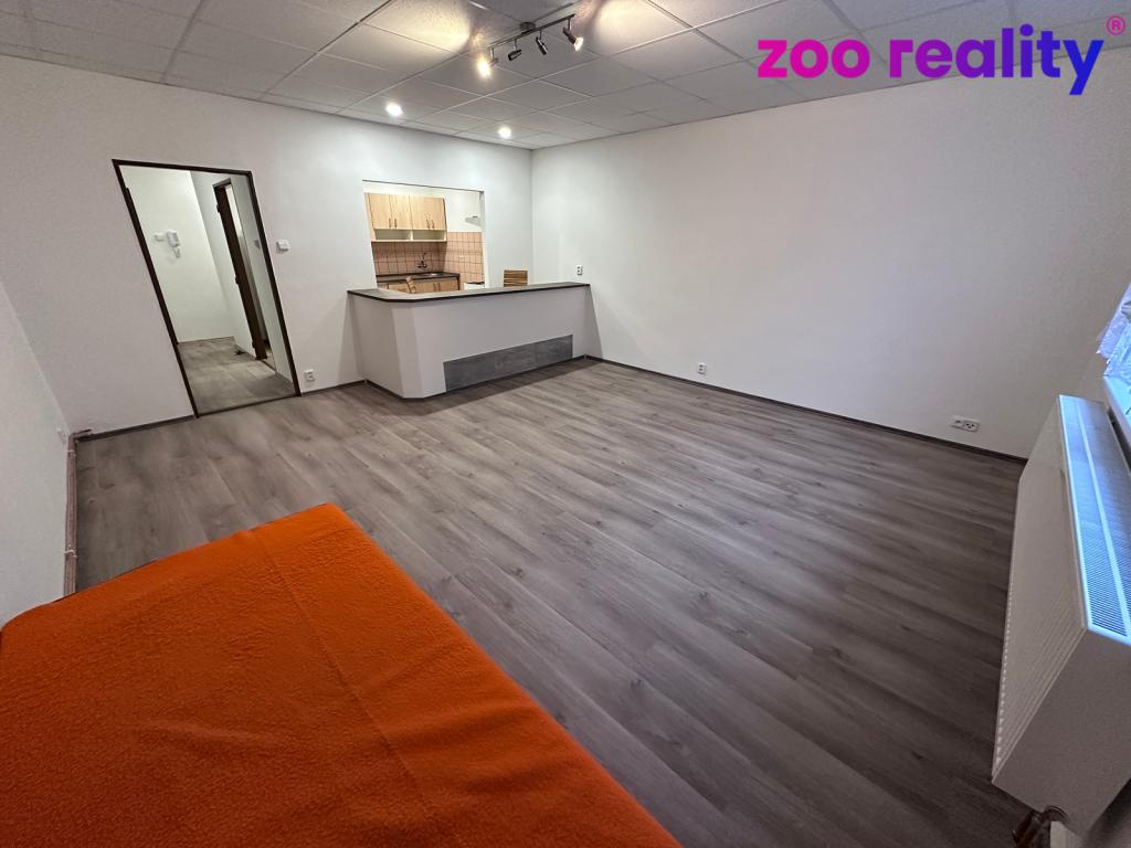 Pronájem bytu 1+kk 43 m2