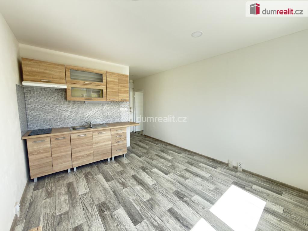 Pronájem bytu 1+1 40 m2