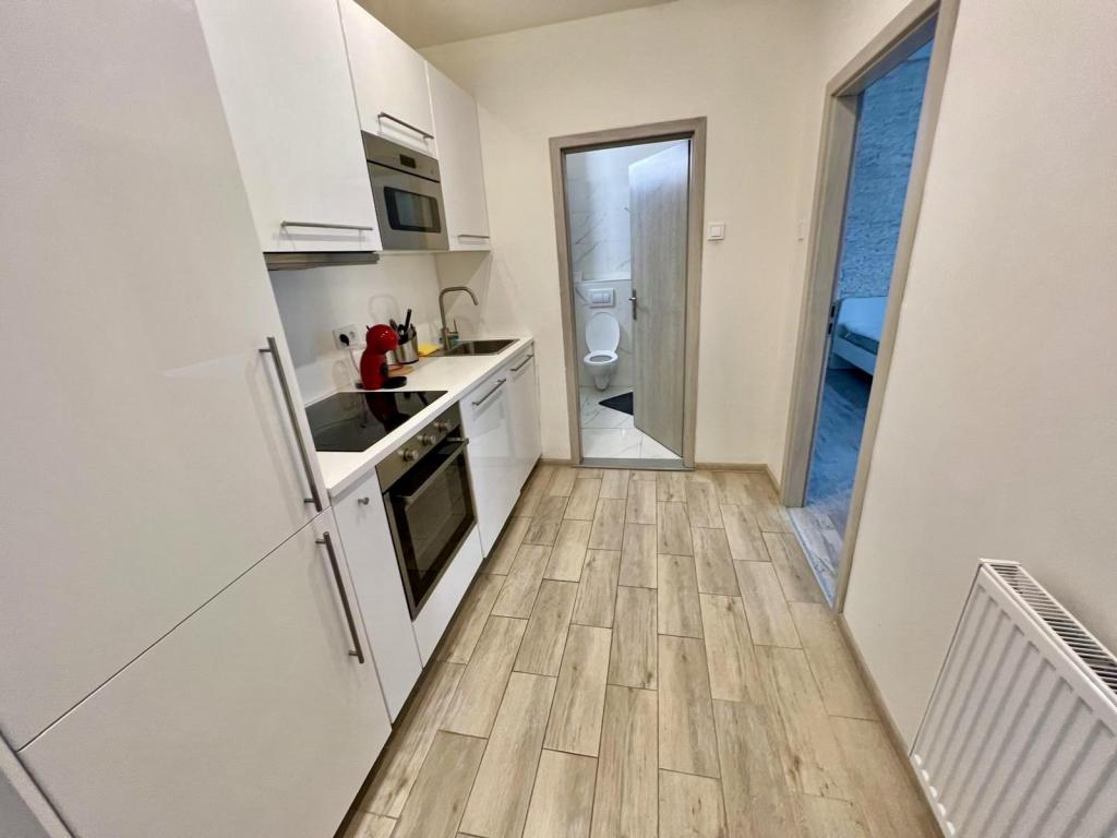 Pronájem bytu 1+kk 36 m2