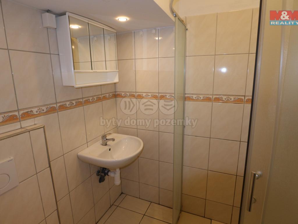 Pronajem bytu 1+kk 28 m2