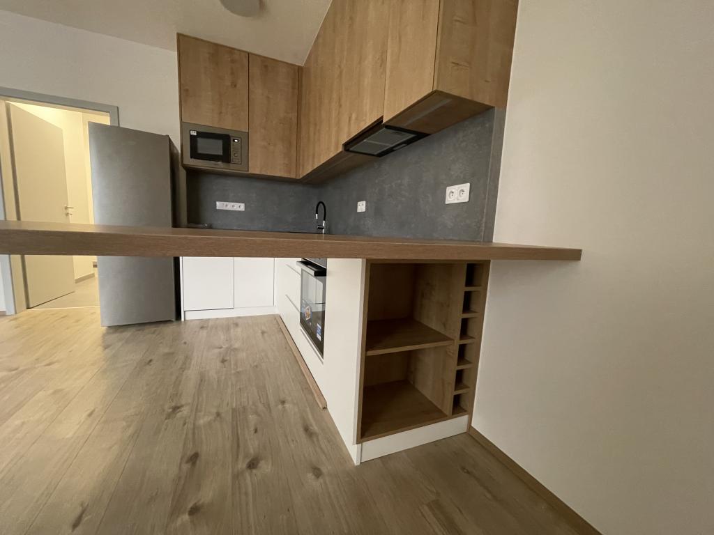 Pronájem bytu 1+kk 40 m2