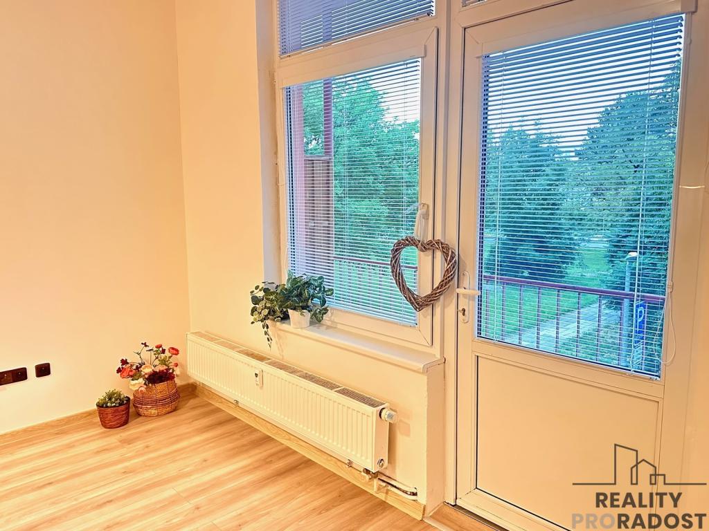 Pronájem bytu 1+kk 45 m² - Widok 4