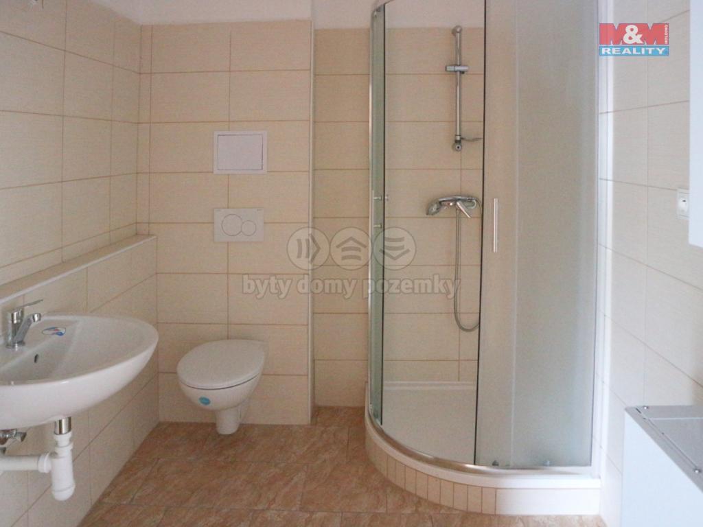 Pronajem bytu 1+kk 43 m2