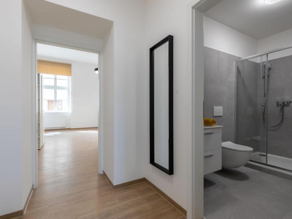 Pronájem bytu 1+1 37 m2