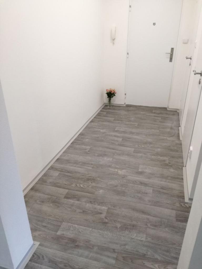 Pronájem bytu 2+1 55 m2