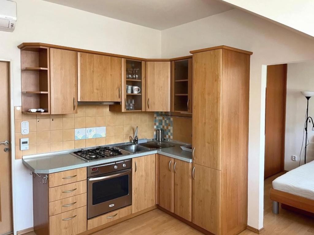 45 m² 2+kk 브르노, Jihomoravský kraj, Provazníkova 임대