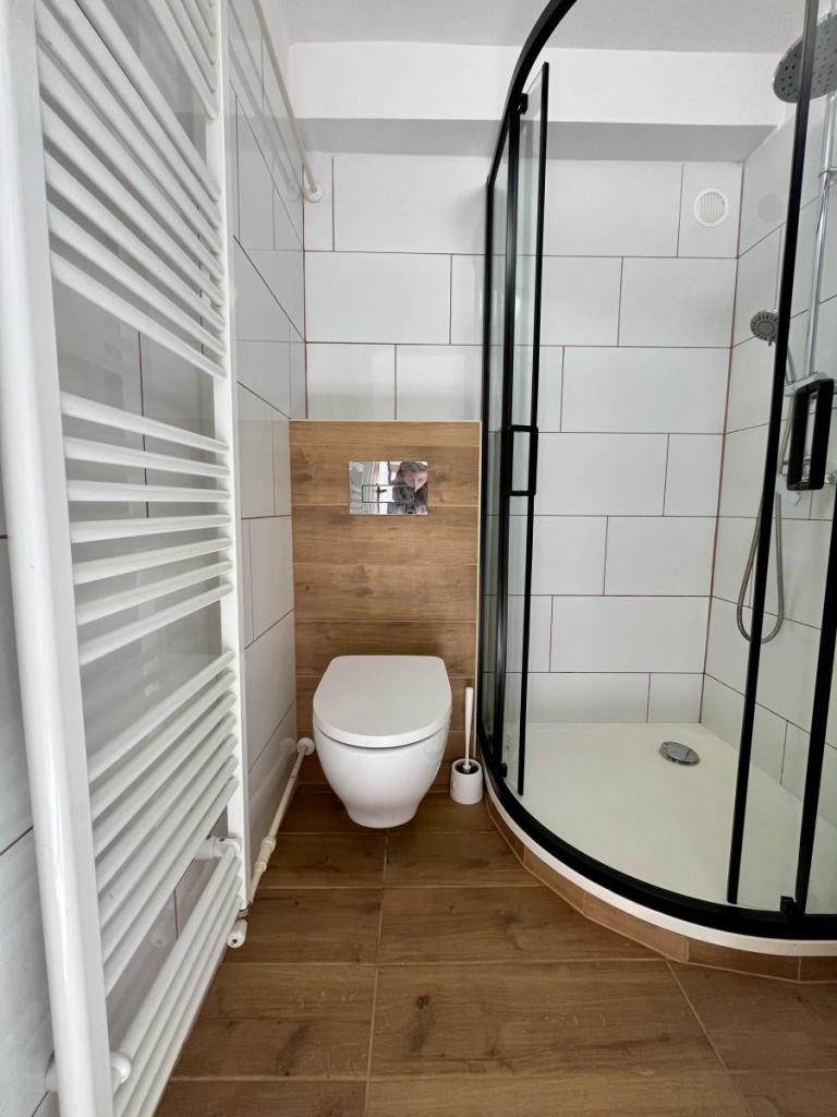 Pronájem bytu 1+1 28 m2, Ostrava – náhled fotky 6