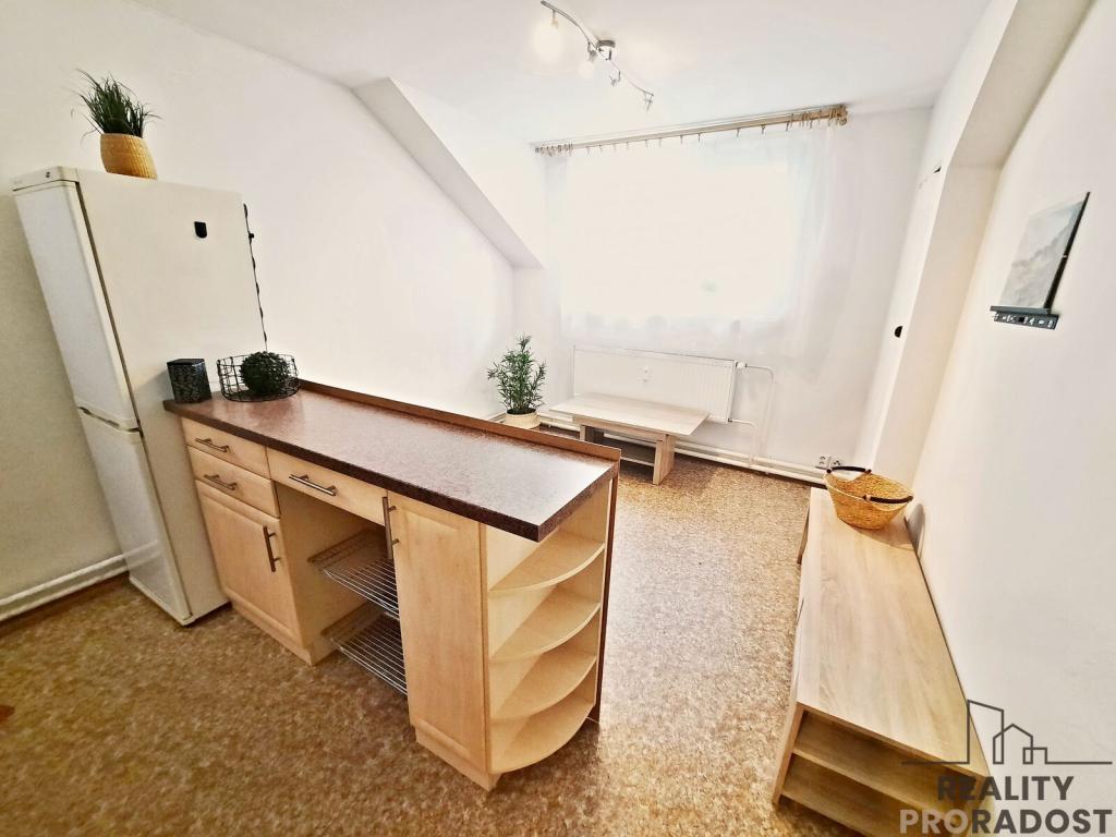 Pronájem bytu 1+1 40 m2