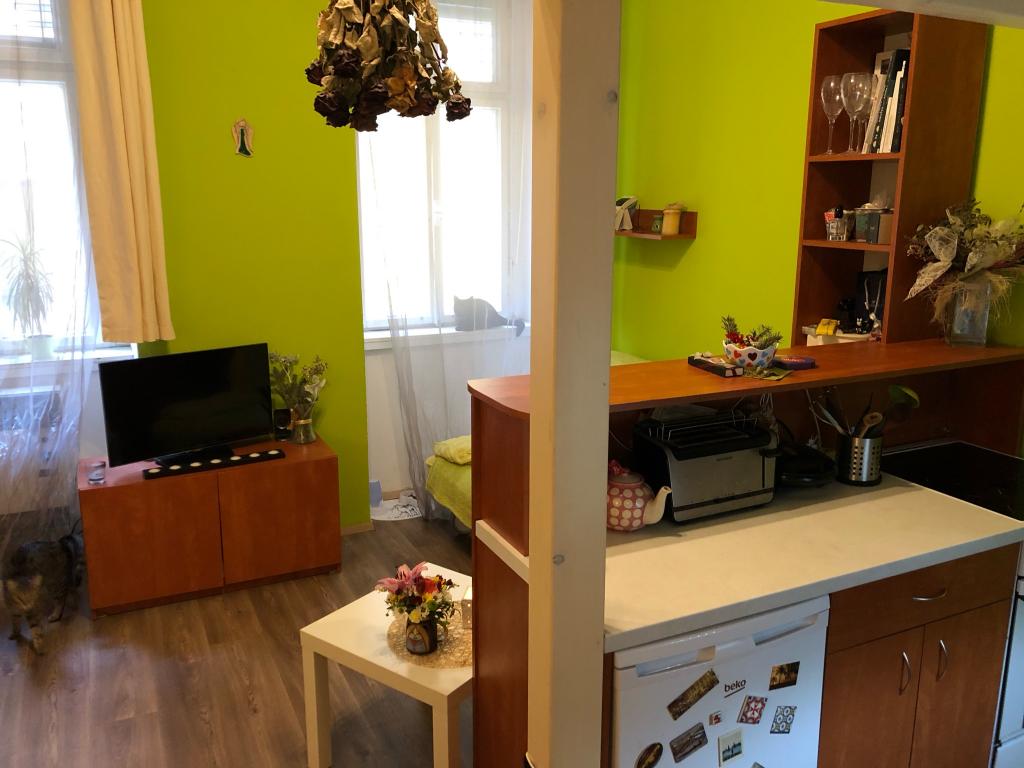 Pronajem bytu 1+kk 28 m2