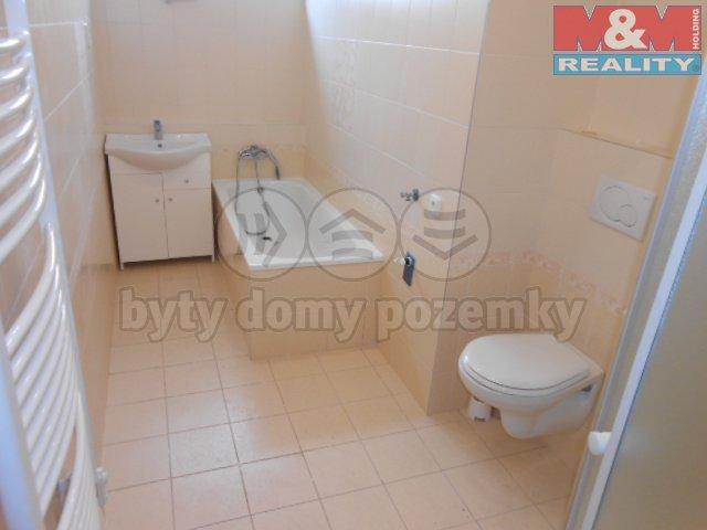 Pronajem bytu dům 865 m2