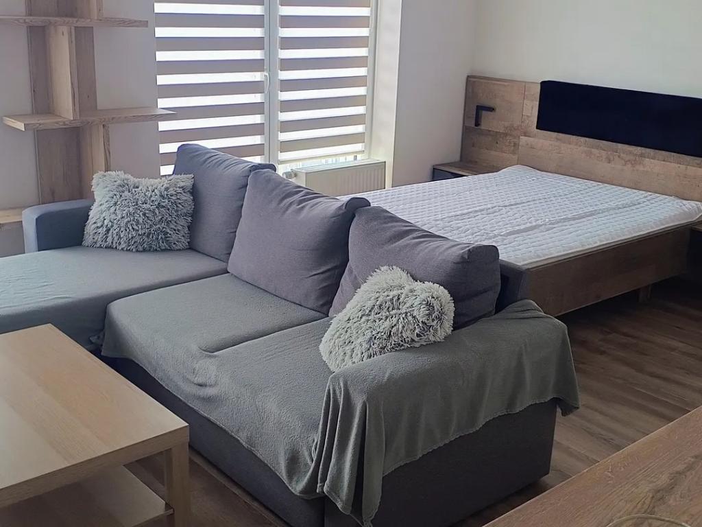 Pronájem bytu 1+kk 42 m2, Plzeň – náhled fotky 6