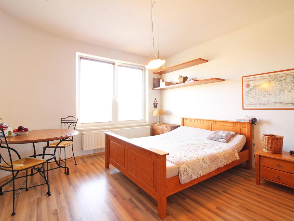 Pronájem bytu 1+kk 38 m2