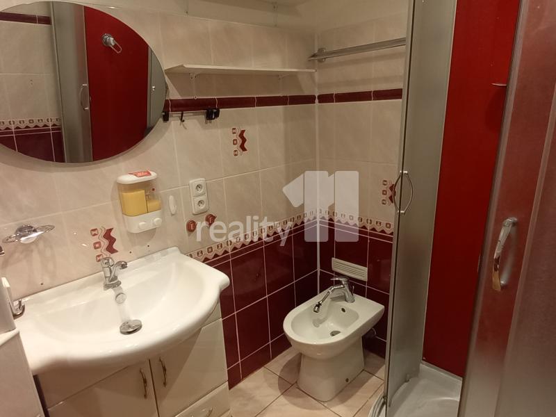 Pronájem bytu 3+1 65 m2