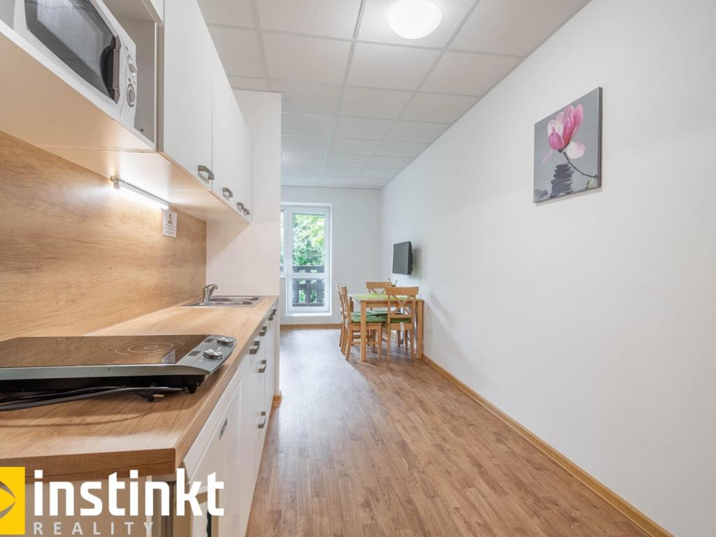 Pronájem bytu 1+kk 35 m2