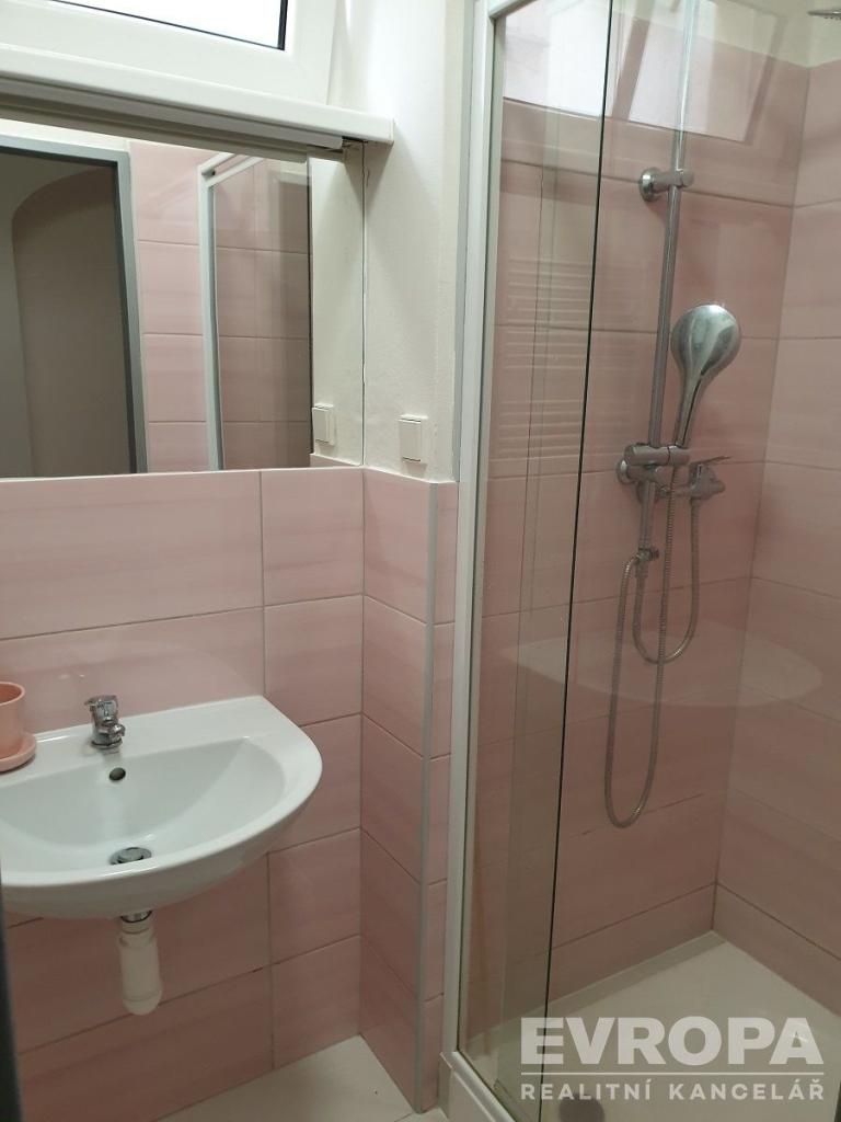 Pronájem bytu 1+kk 39 m2