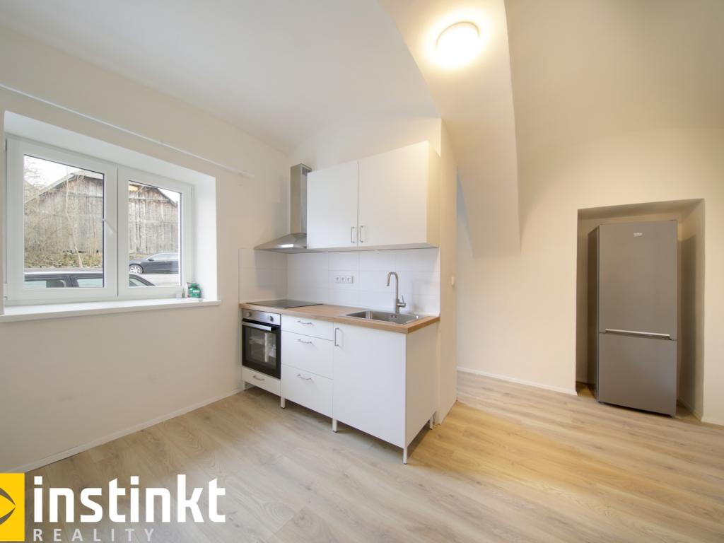 Pronájem bytu 1+1 50 m2