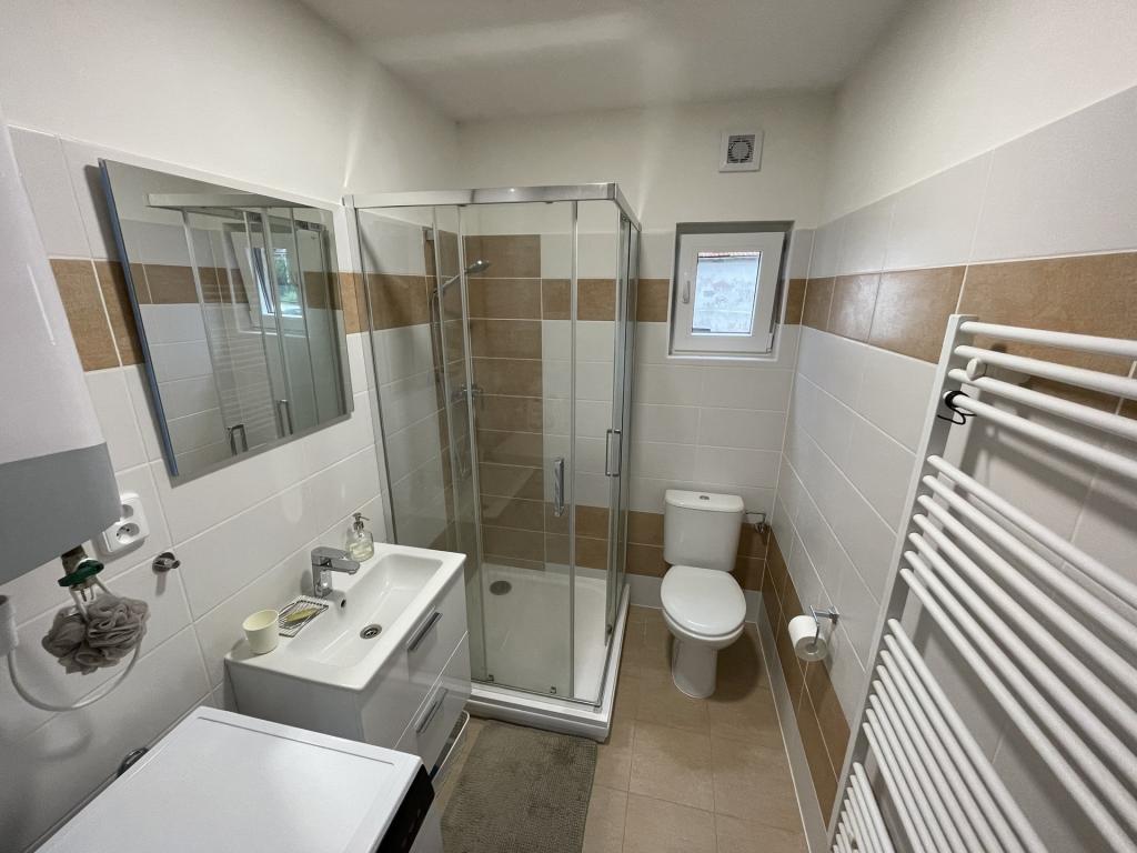 Prodej domu 245 m2, Šubířov – náhled fotky 7