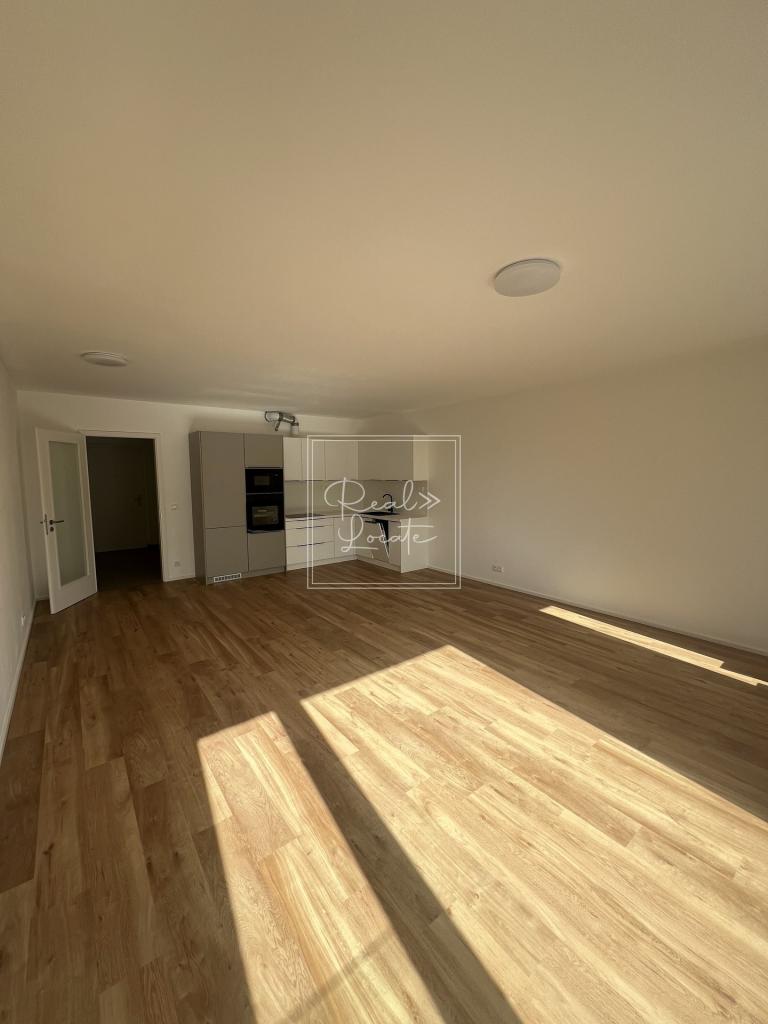 Pronájem bytu 1+kk 54 m2