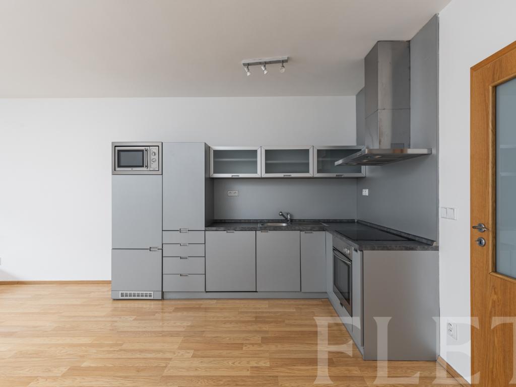 Pronájem bytu 1+kk 49 m2