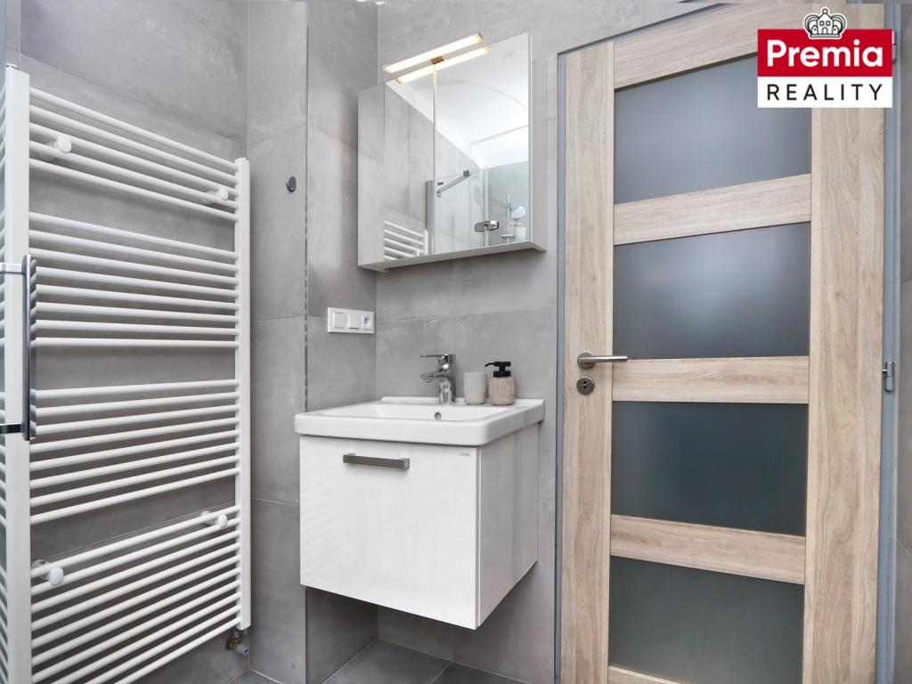 Pronájem bytu 1+1 45 m2
