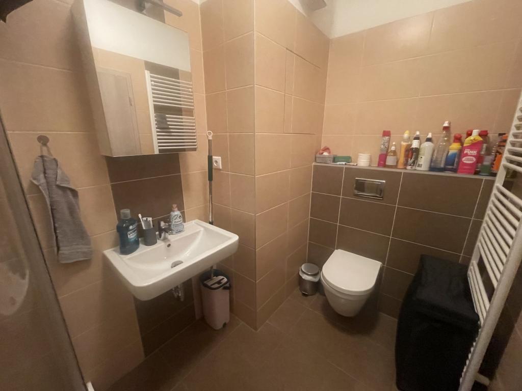 Pronájem bytu 1+kk 30 m2