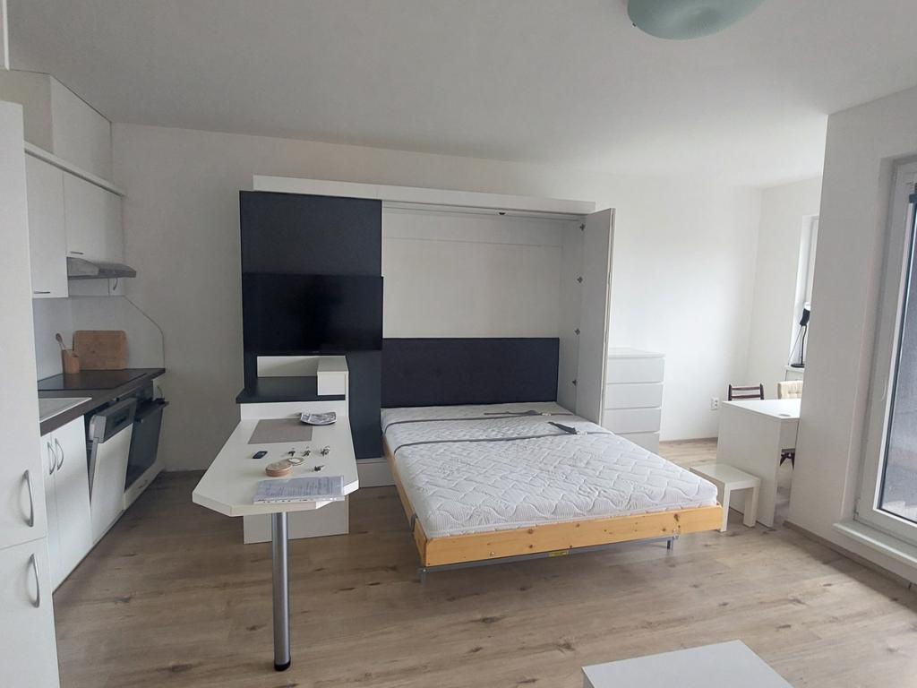 Pronájem bytu 1+kk 42 m2