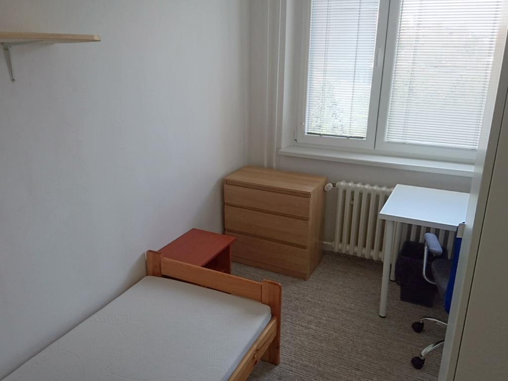 Spolubydleni bytu celý pokoj 8 m2