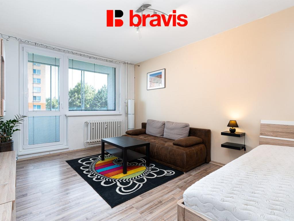 Pronájem bytu 1+1 42 m2