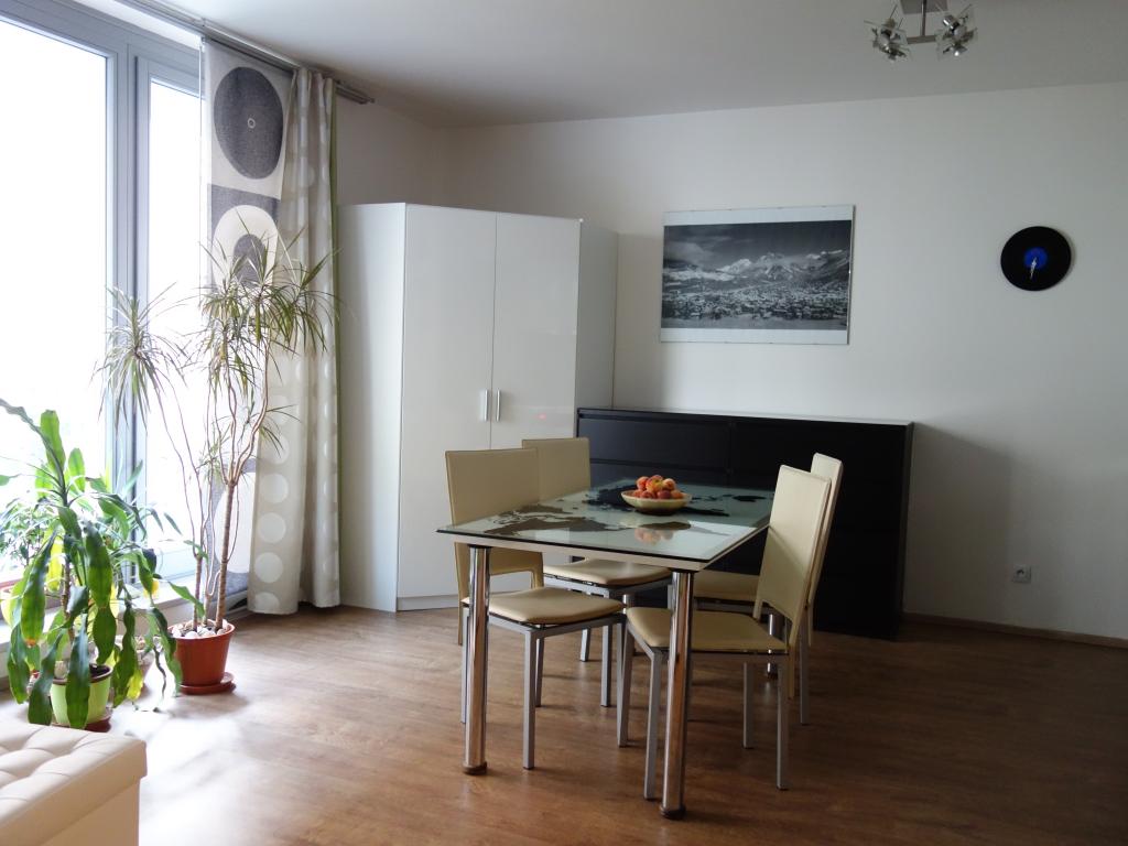 Pronájem bytu 1+kk 42 m2