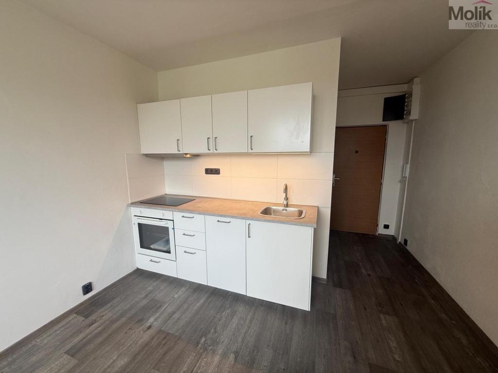 Pronájem bytu 1+1 35 m2