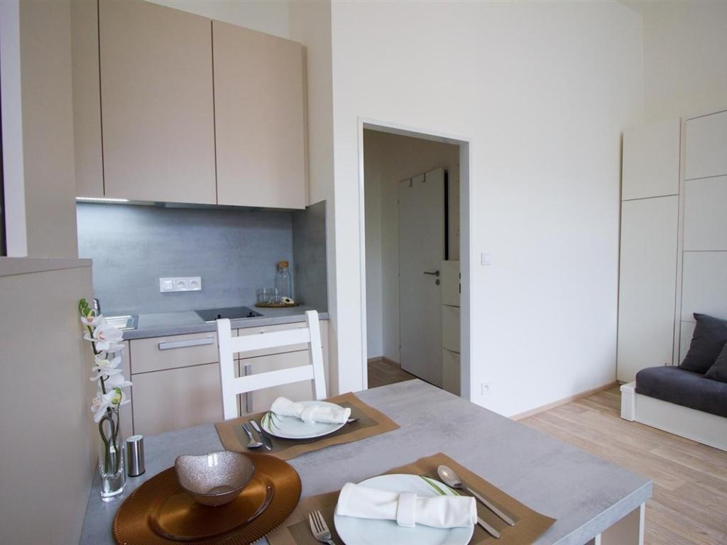 Pronájem bytu 1+kk 26 m2