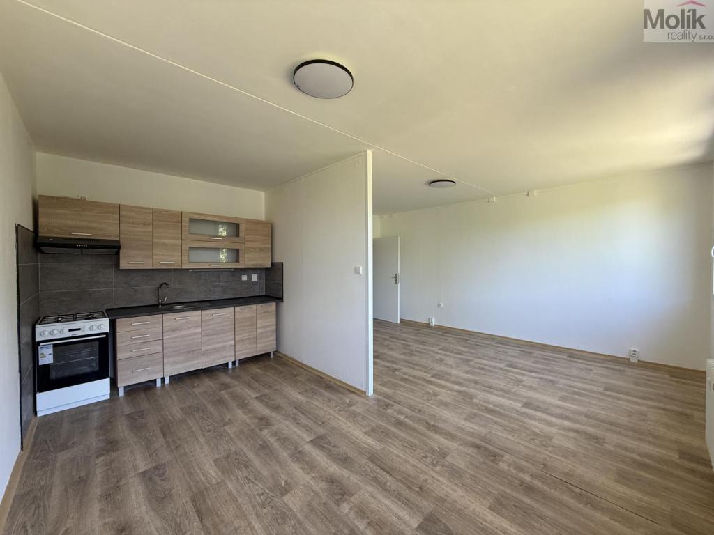Pronájem bytu 3+1 69 m2