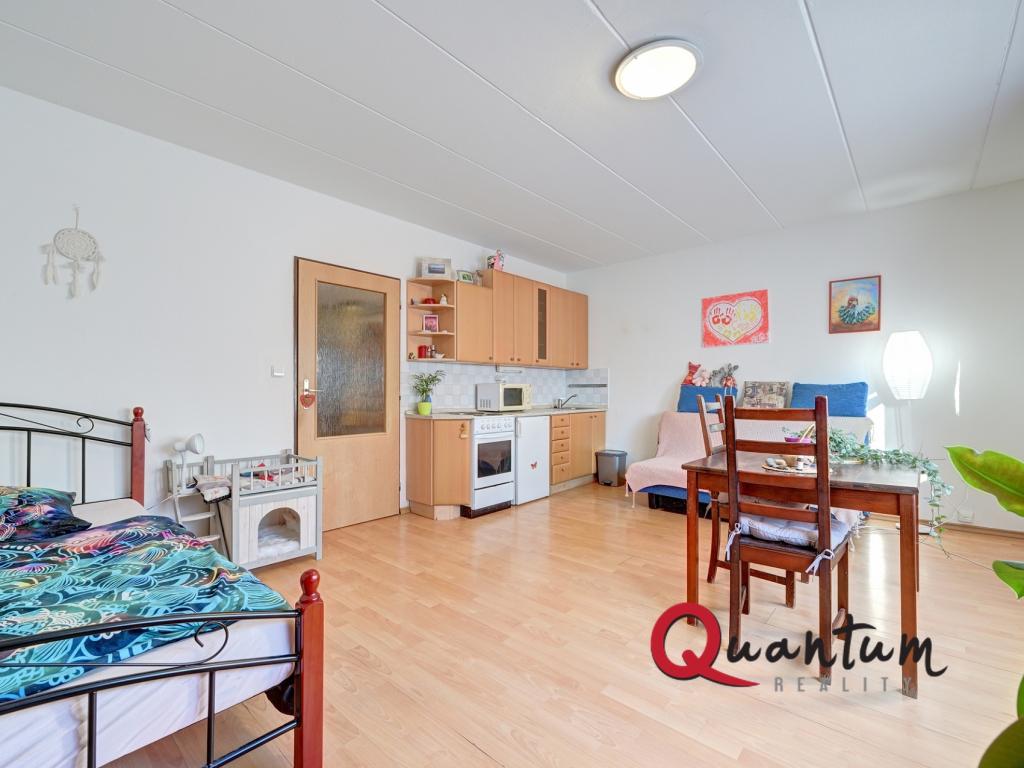 Pronájem bytu 1+kk 33 m2