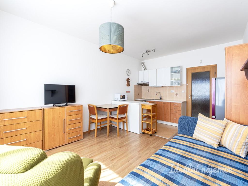 Pronájem bytu 1+kk 34 m2